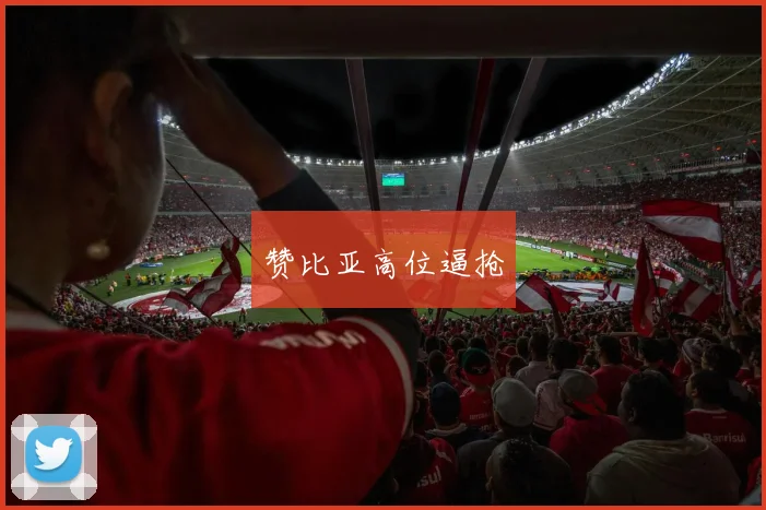 赞比亚高位逼抢