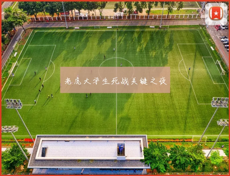 老虎大学生死战关键之夜