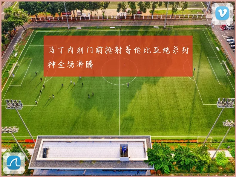 马丁内利门前抢射哥伦比亚绝杀封神全场沸腾