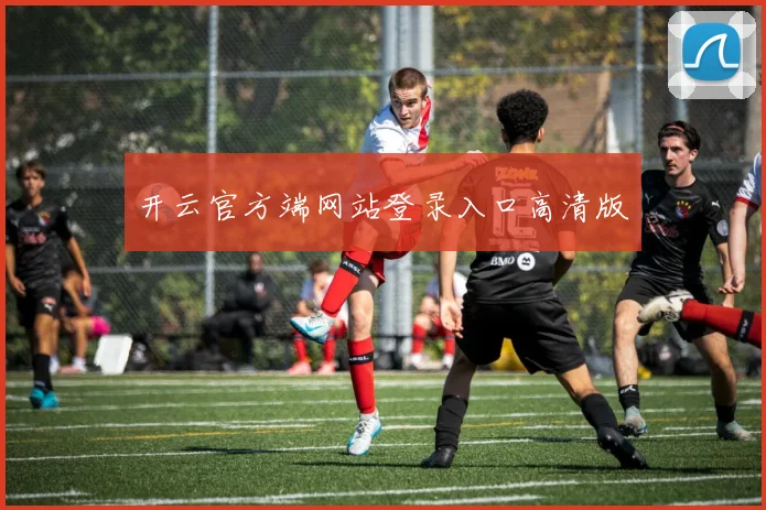 开云官方端网站登录入口高清版