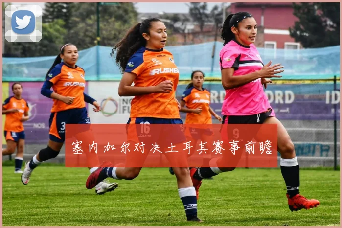 塞内加尔对决土耳其赛事前瞻