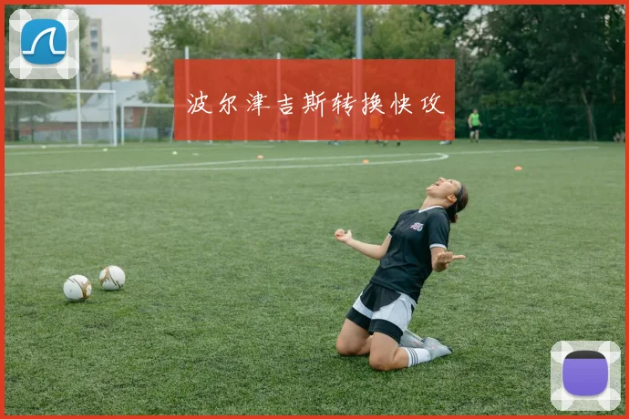 波尔津吉斯转换快攻