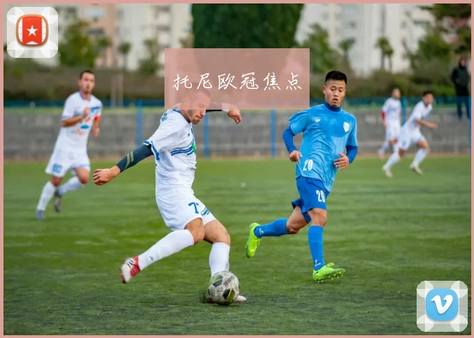 托尼欧冠焦点