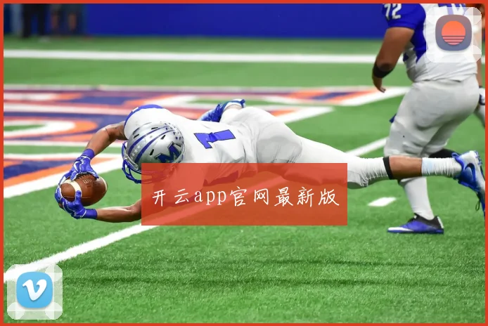 开云app官网最新版