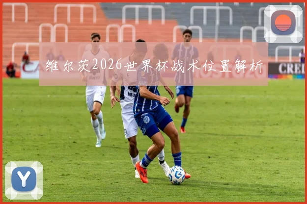 维尔茨2026世界杯战术位置解析