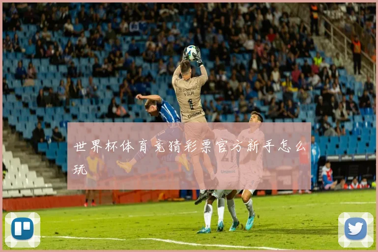 世界杯体育竞猜彩票官方新手怎么玩