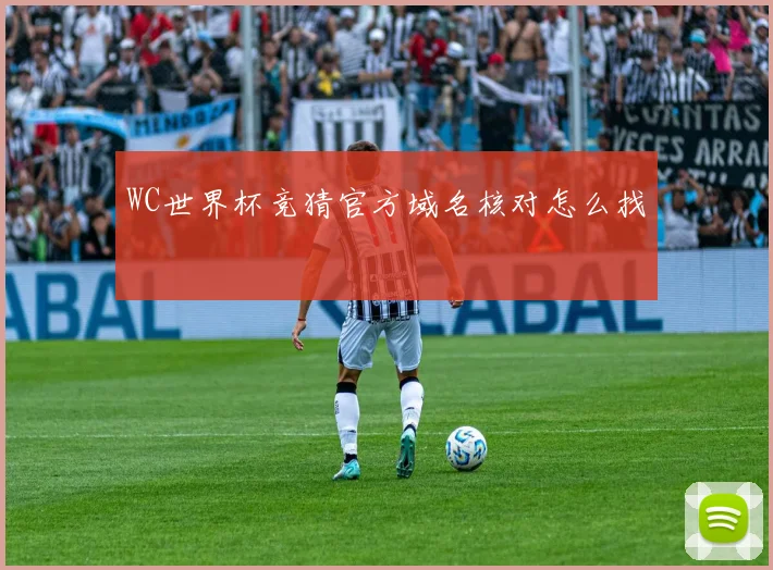 WC世界杯竞猜官方域名核对怎么找